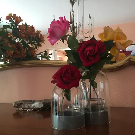 Ile De Vaste Et Lumineux 公寓 南特